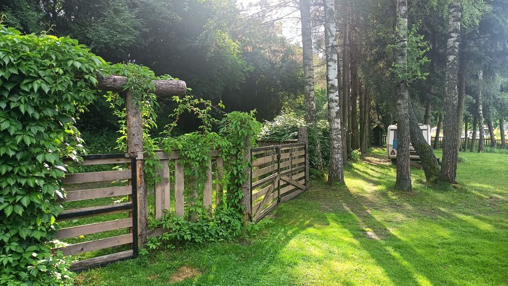 Działka nad jeziorem Narie, Wilnowo - Widok 5