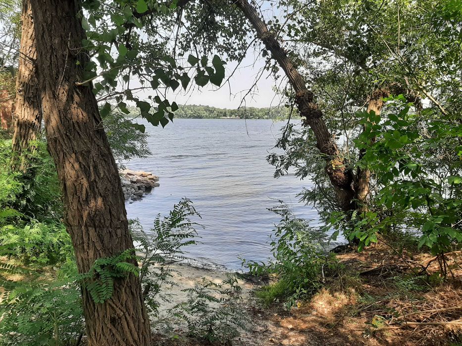 Сдам 2-3й этажи в доме в Соловьиной роще возле воды. Без мебели