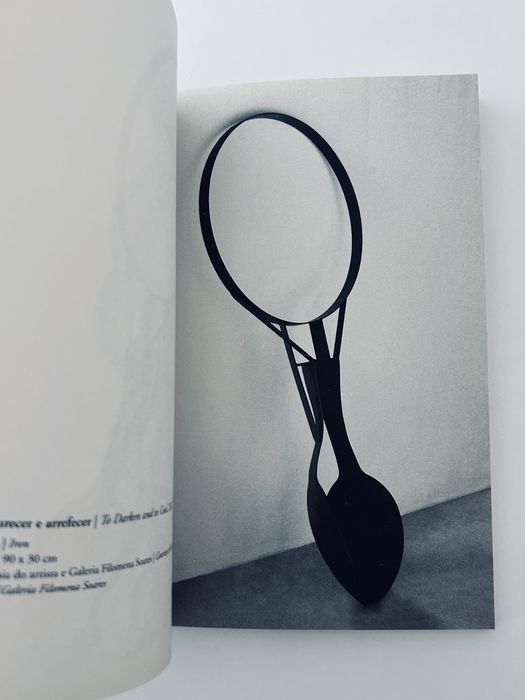 Luís Quintais: Exúvia, gelo e morte —A arte de Rui Chafes