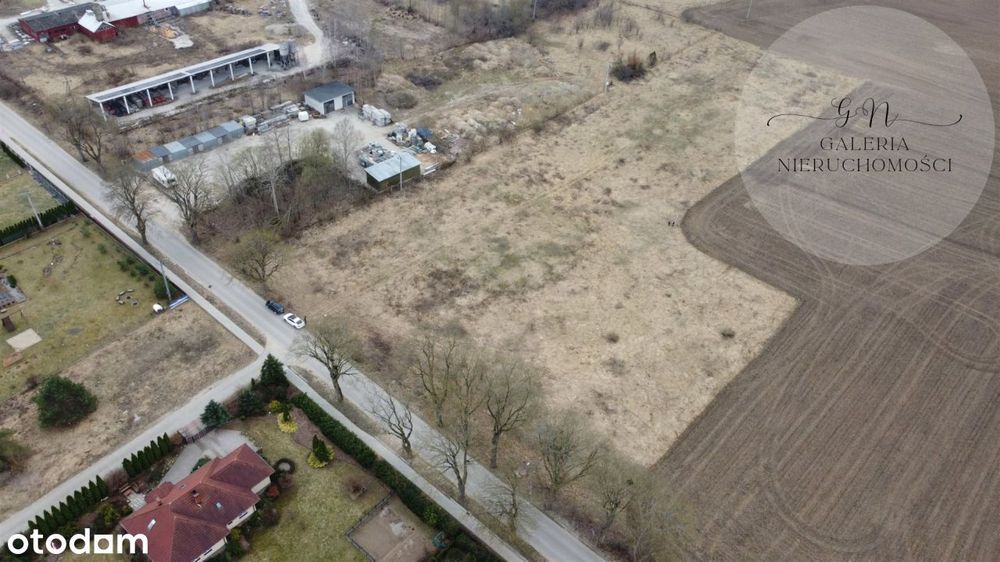 Duża działka inwestycyjna Żabi Róg koło Morąga