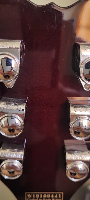 Profesjonalna Gitara Elektryczna