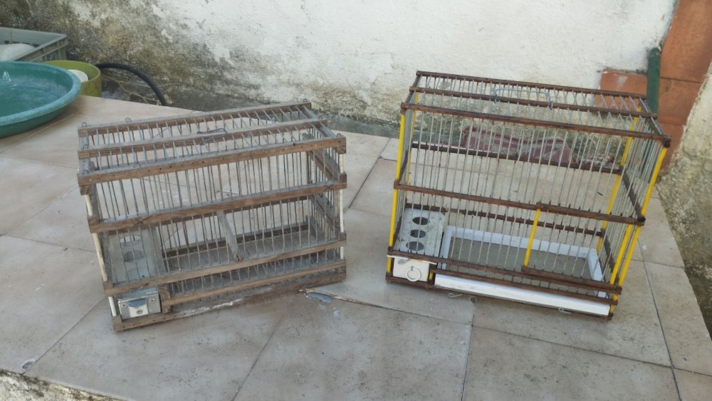 Gaiolas para pássaros