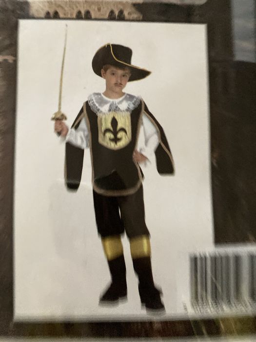 Fatos carnaval para criança