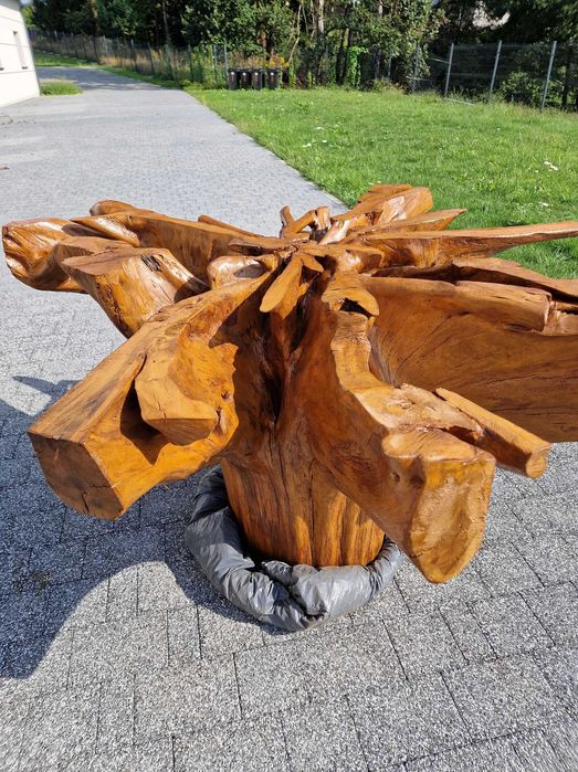 sprzedam korzeń drzewa ozdobny
