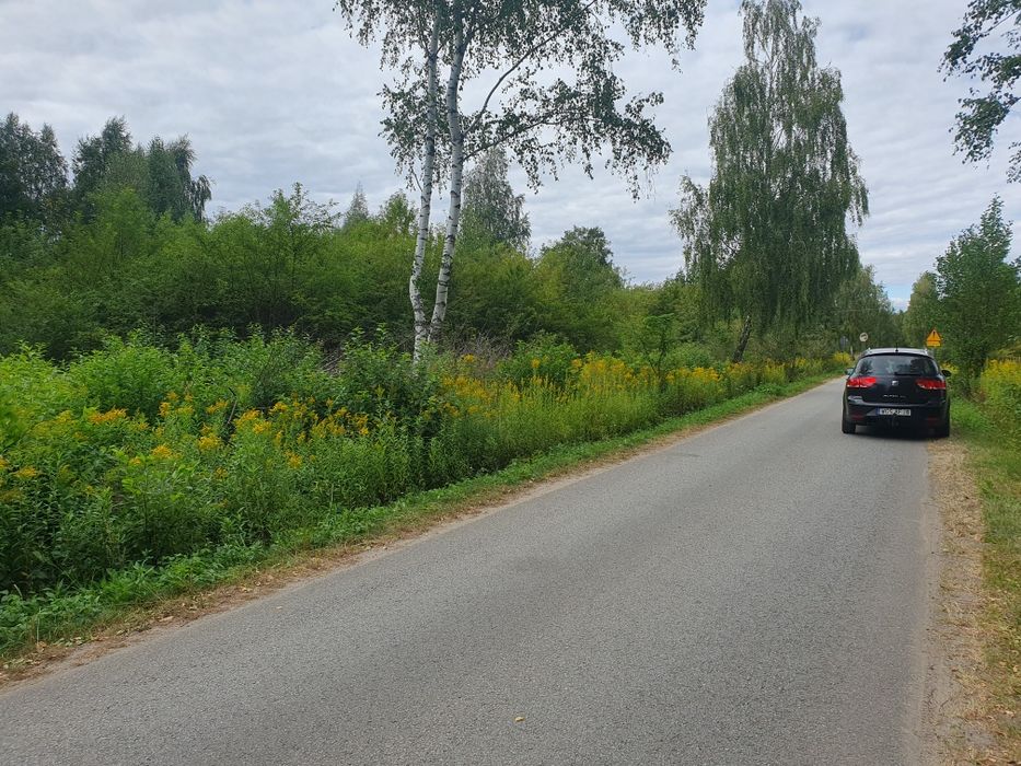 Działka Emilianów 1232 m² z bezterminowymi warunkami zabudowy - Widok 3