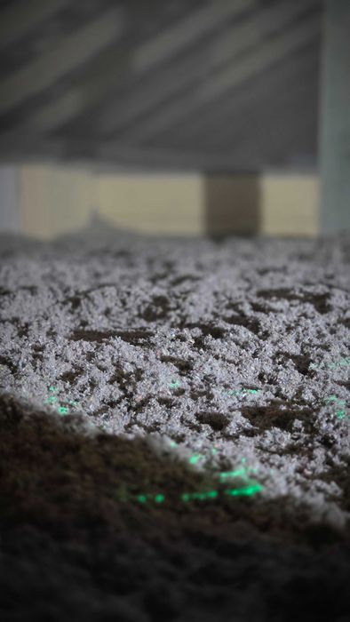 Profesjonalne wdmuchiwanie wełny i celulozy, ocieplanie pianą PUR