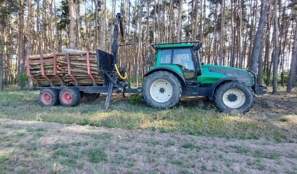 Wycinka Drzew. Usługi Ogrodnicze. Transport drewna.