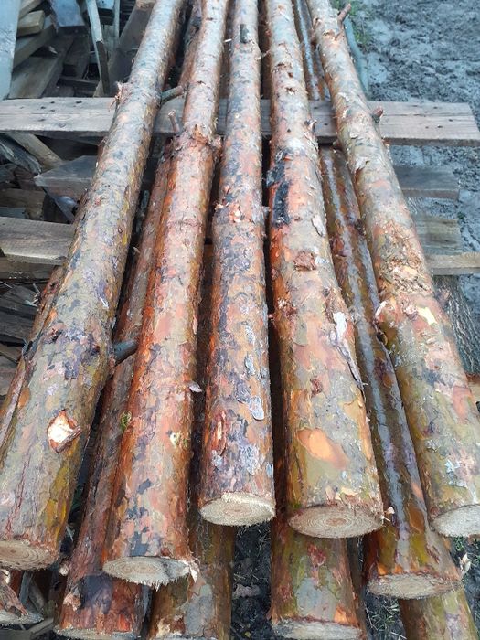 STEMPLE BUDOWLANE SOSNOWE NOWE WYSOKOŚć 3m Radom radom radom radom rad