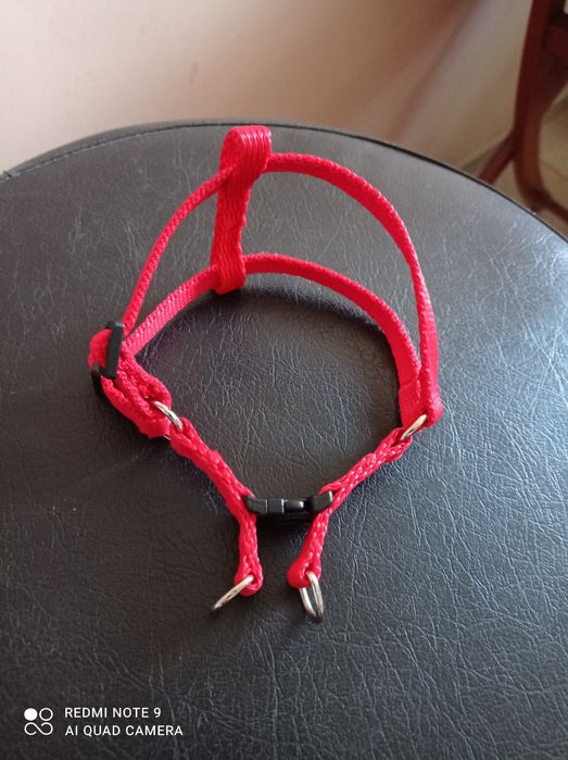 Szelki dla malutkiego szczeniaka lub małego kota.