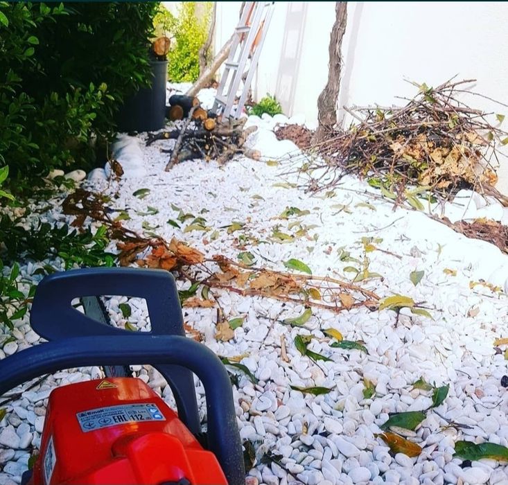 Construção e Manutenção de Jardins & Espaços Verdes
