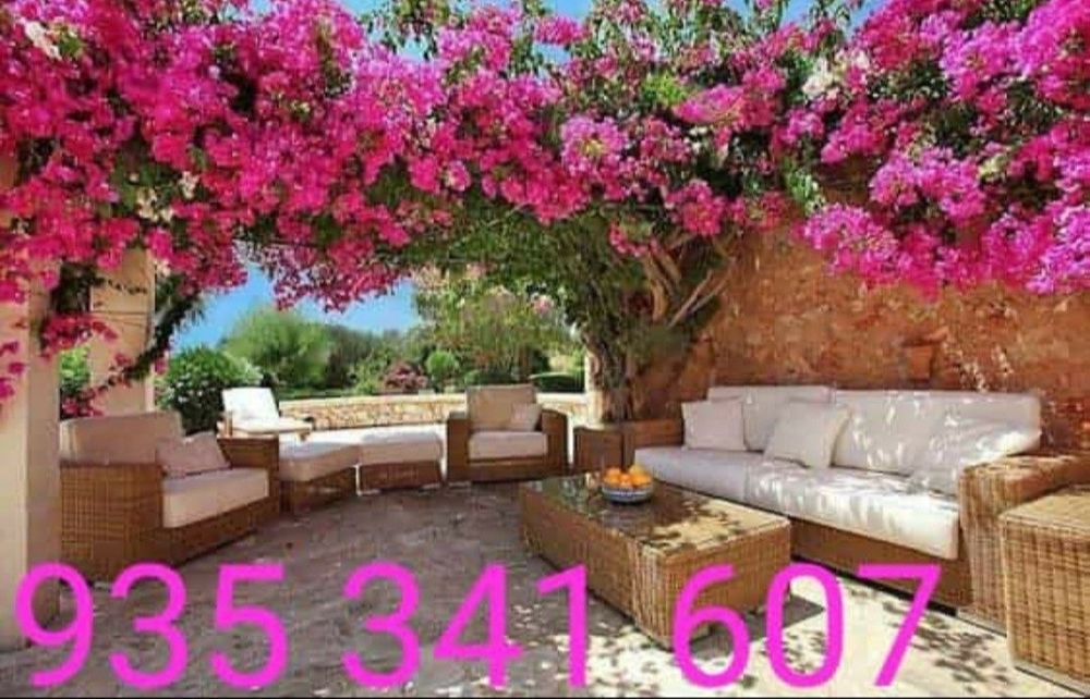 Faço trabalho de jardinagem,limpeza/manutenção de jardins,terraços,...