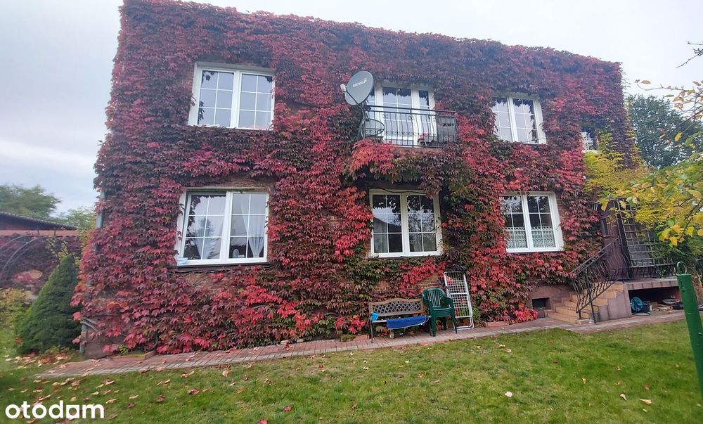 Wynajmę przestronny, zadbany dom 140 m² z ogrodem – Bełchatów