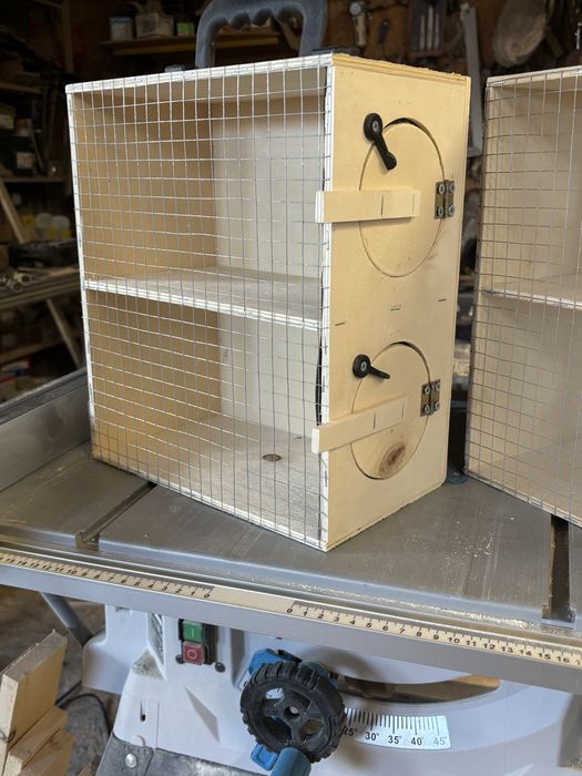 Transportery dla papug