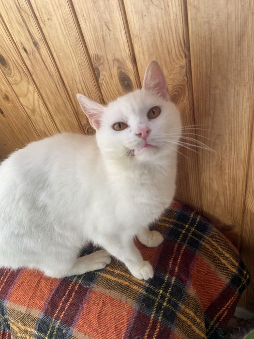 Хлопчик в пршуках родини