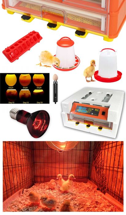 INKUBATOR lęgowy DINO Plus 46 na wszystkie jaja Gęś Kaczka Indyk Kura