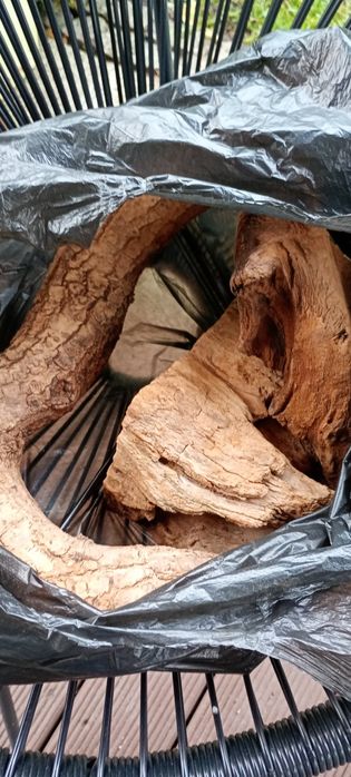 Terarium z oświetleniem