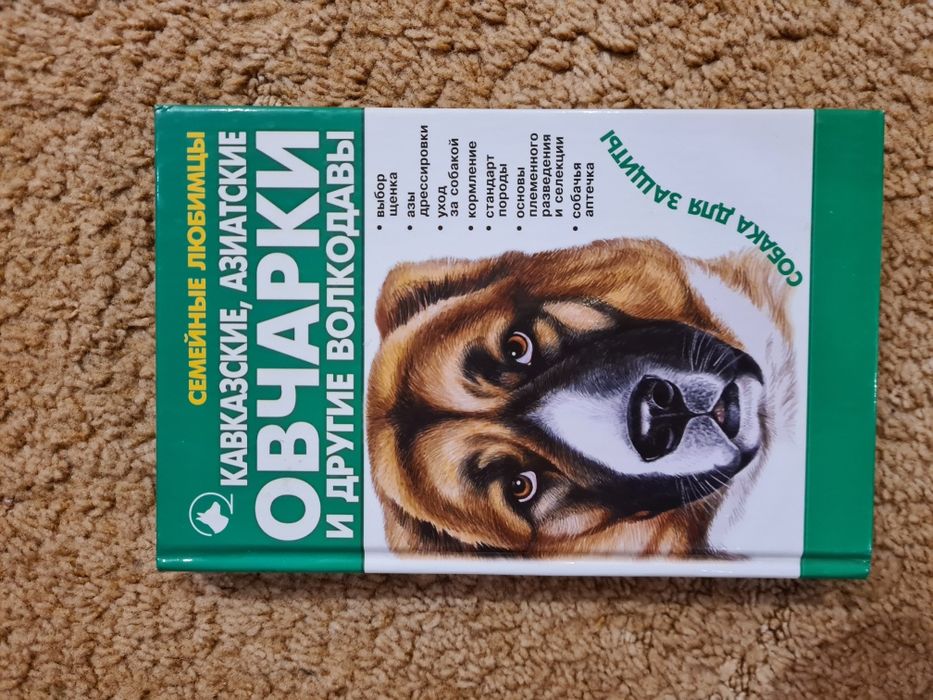 Алабай - середньоазіатський вівчар