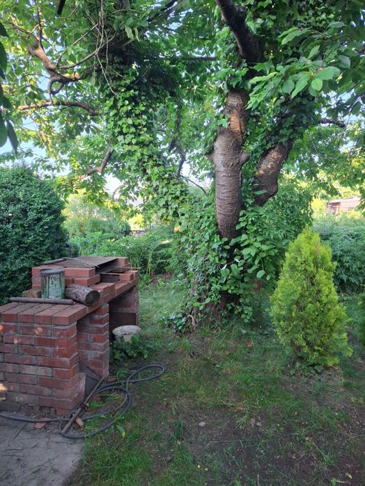 Działka ROD Słupsk-Bierkowo prąd woda gril