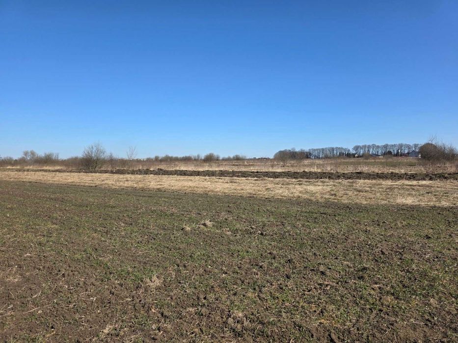 Ділянка с. Давидів під будівництво біля лісу 20 соток