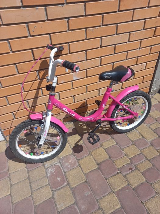 Велобег Велосипед