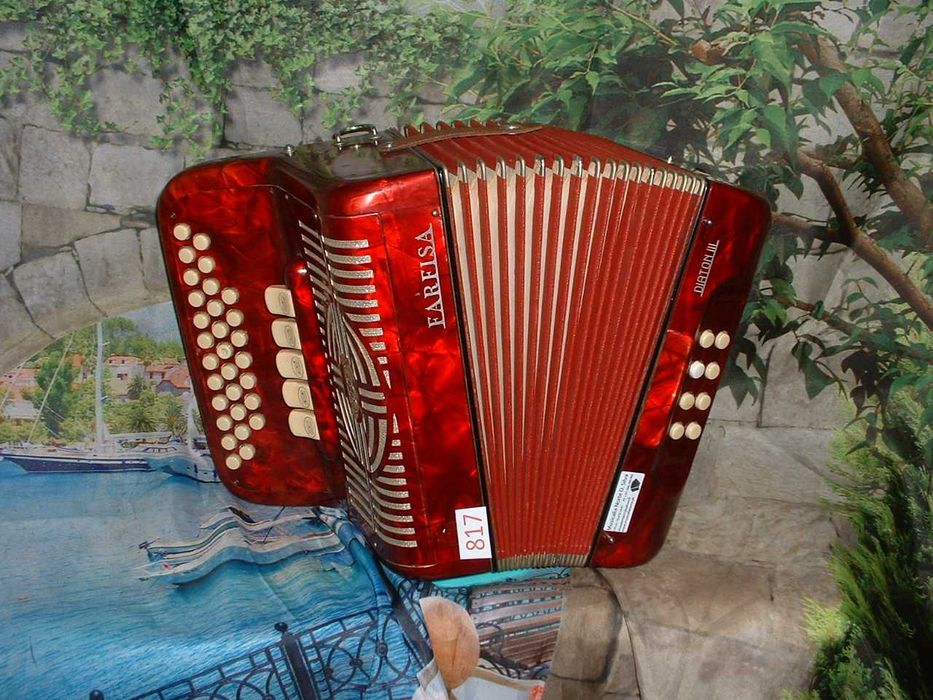 Concertinas a venda N.817 Penedono • OLX Portugal