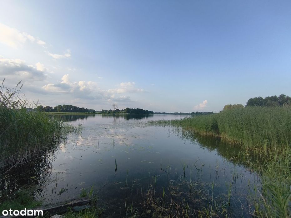 Zdjęcie 3