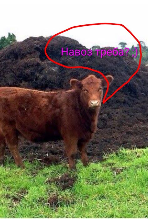Продам навоз (перегній)