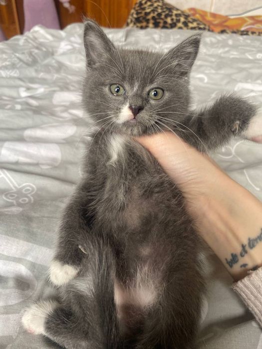 Лучший подарочек