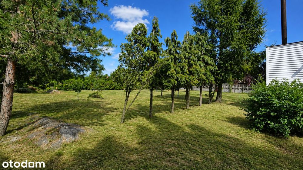 Dom – Adamowice, powiat kutnowski - Widok 4