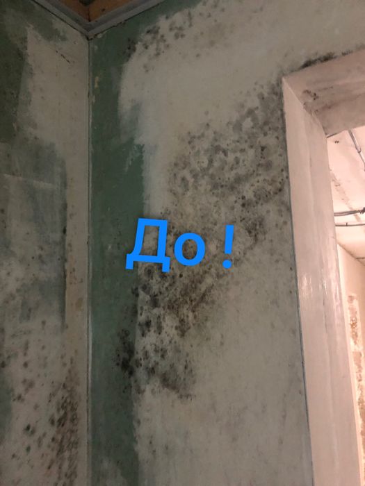 ‼️Видалення плісняви , видалення грибка ! Озонування повітря