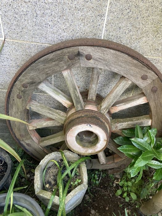 Roda de carro bois antiga