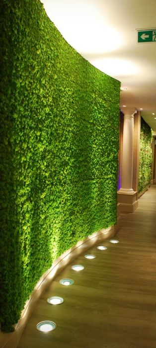 Обшиваєм стіни в кафе ресторани салони , стабілізованим мохом еко стил