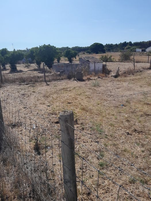 Arrendamento terrenos