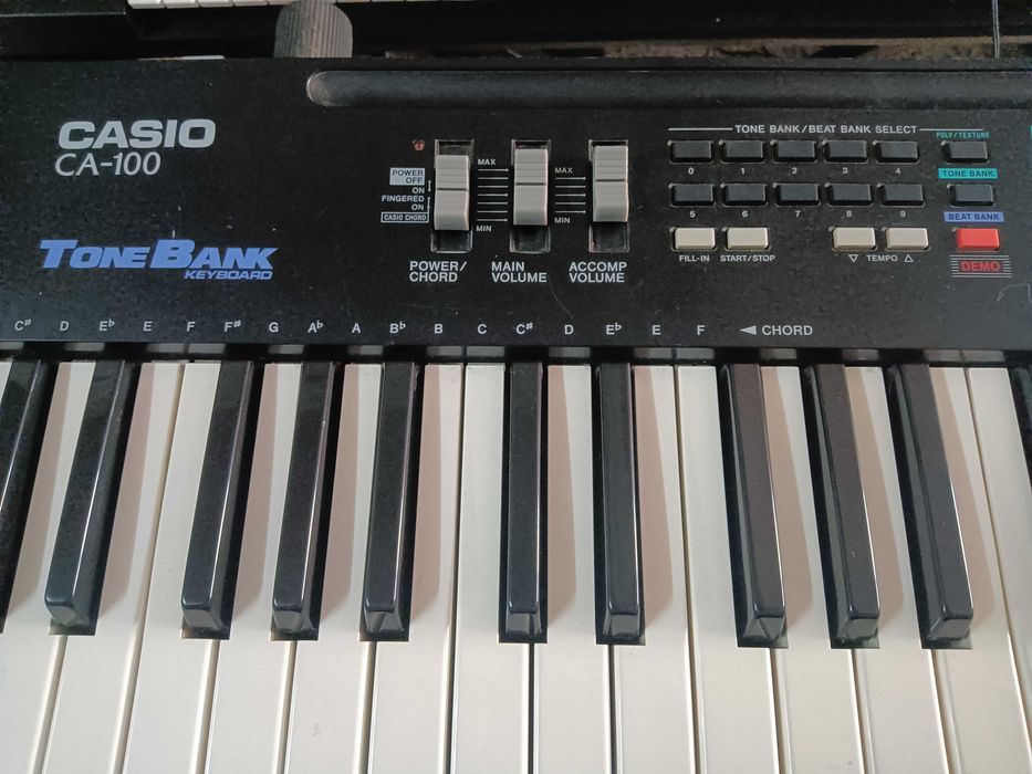 Teclado Casio CA-100 Tone Bank