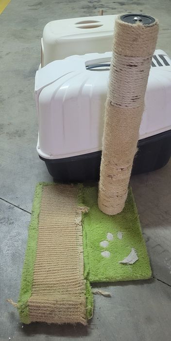Caixa de areia + de transporte + arranhador para gato
