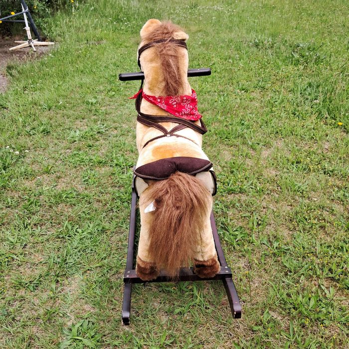 Koń na biegunach
