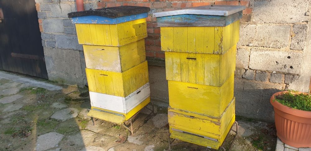 Sprzedam Ule Wielkopolskie