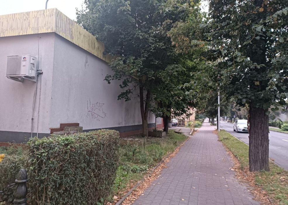 Lokal użytkowy do sprzedaży
