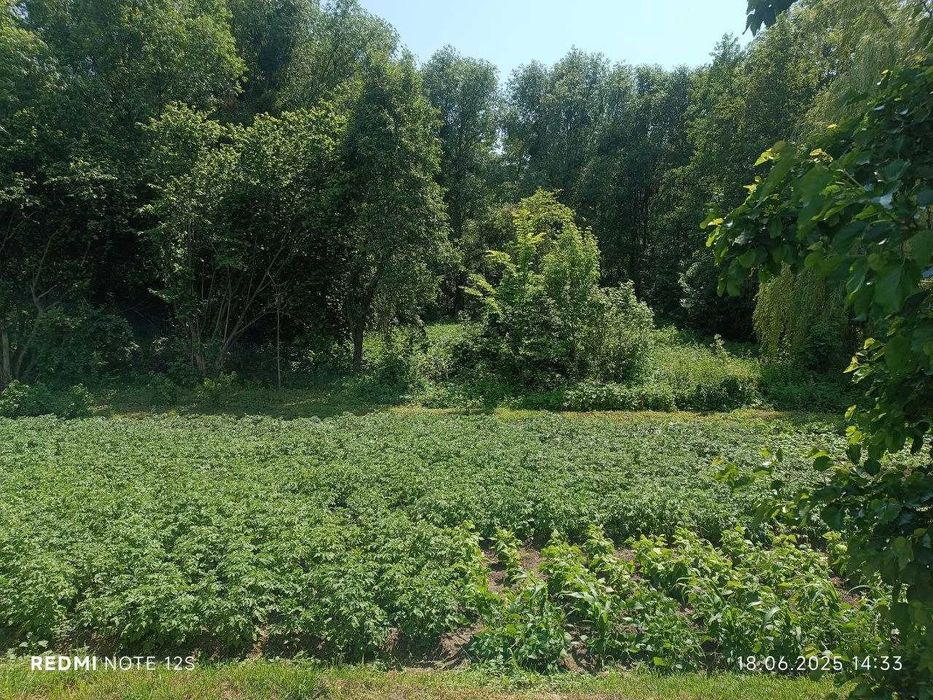 Продаж будинку в с. Поправка