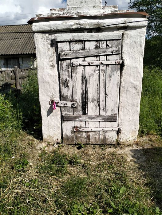 Будинок з ділянкою 40 сотих