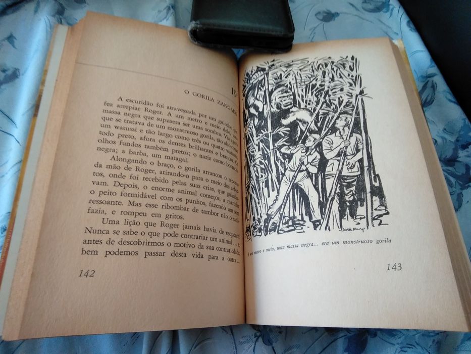 Aventura com os elefantes