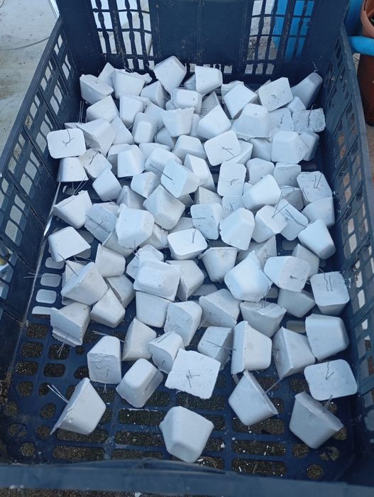 Cálcio para aves de bico curvo