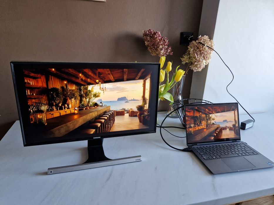 Monitor Samsung S24D590L