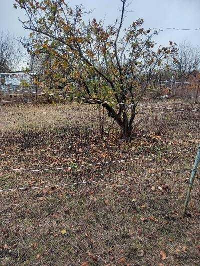 Продається земельна ділянка