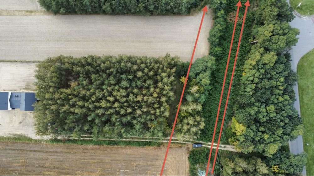 Działka usługowa Paprotnia gm. Teresin 4342 m² - Widok 3