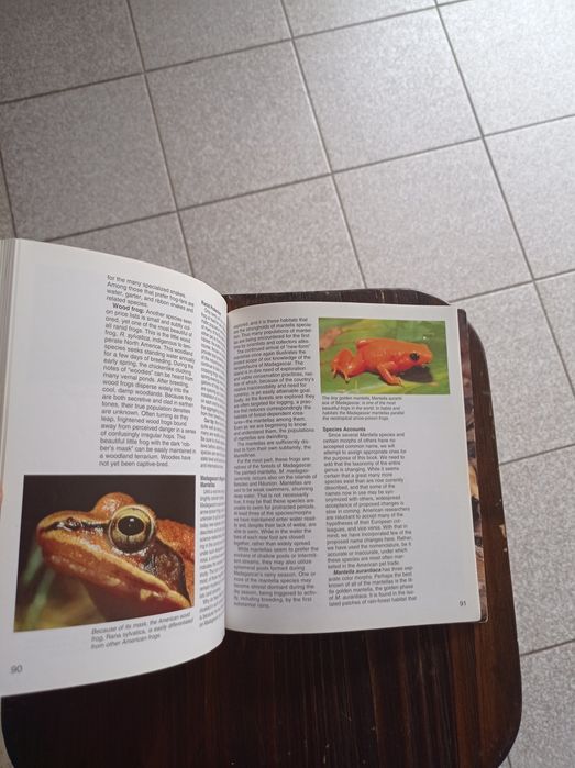 Livro sobre sapos e rãs