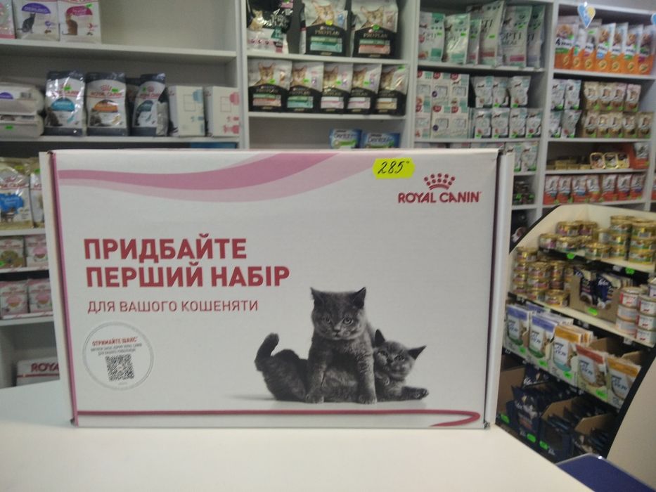 Набір для кошенят