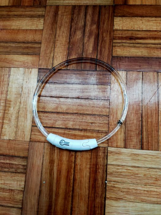 Coleira LED para cão