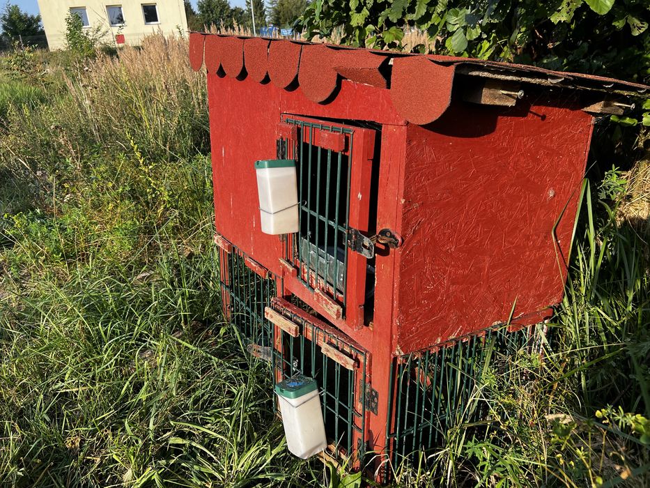 Klatka na dwa kroliki z poidłami i karmnikami kompletna na kolkach