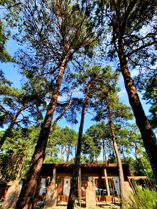 Wynajem domków2026 Wczasy Brenno DELFINEK